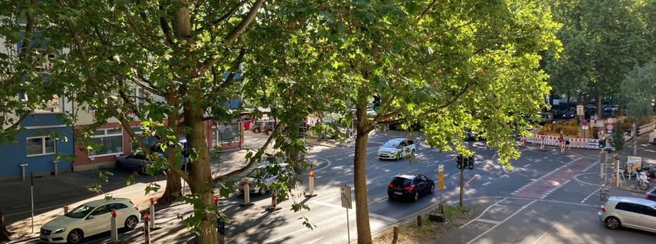 Ein Jahr Baustelle: Rheinallee ab Montag teilweise gesperrt