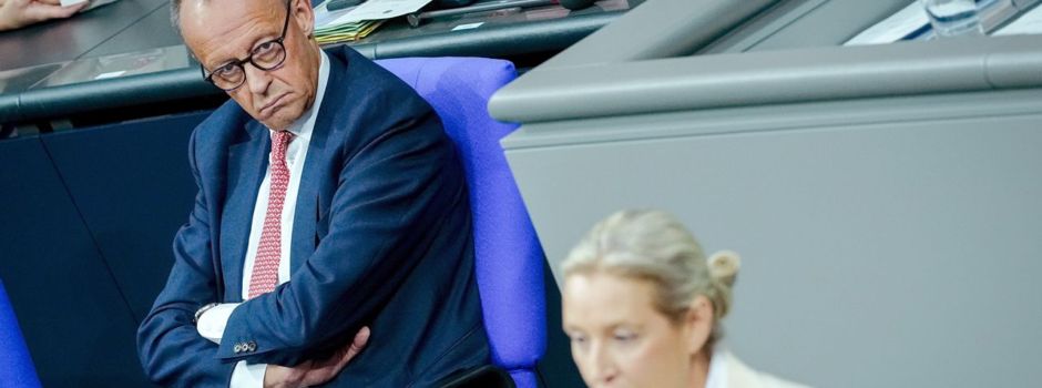 «Üble Nachrede»: Merz wehrt sich gegen Weidels Lügen-Vorwurf