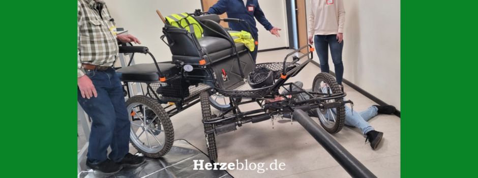 Erste-Hilfe-Kurs mit Special Effects – Ein besonderer Kurs mit Pferdestärken