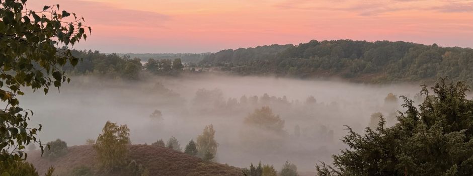 Gänsehautmoment in der Heide