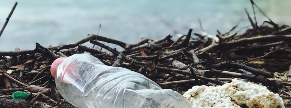 Augsburger Schülerin erfindet Filter für Mikroplastik