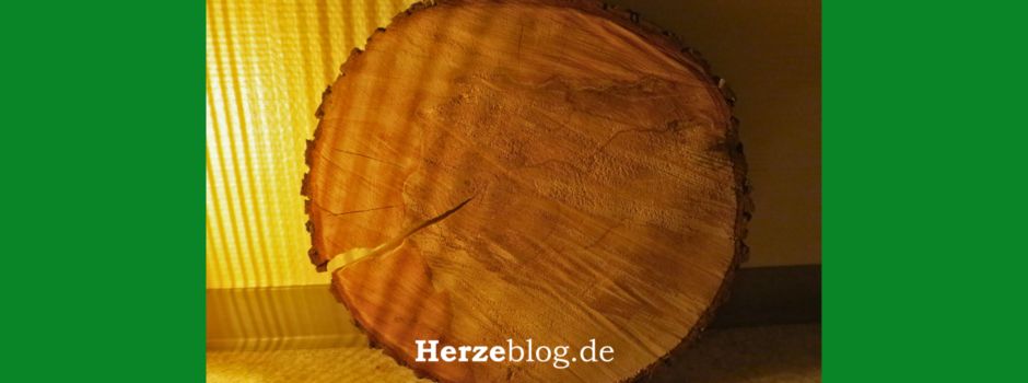 Mit einem Fuß im Paradies - Innehalten in der Fastenzeit