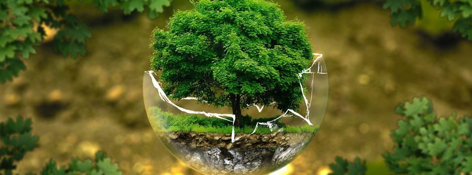 Jetzt bewerben für den Umwelt- und Klimaschutzpreis 2023
