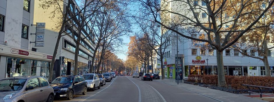 Mainzer (33) gibt sich bei Verkehrskontrolle als sein Bruder aus