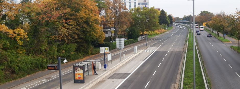 Wiese an Berliner Straße gesperrt: Stadtpolizei findet Giftköder