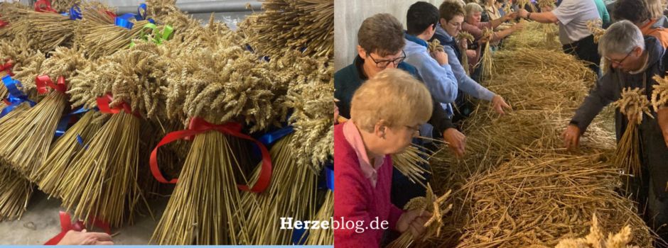 Erfolgreicher Kränzabend in Clarholz: Ährensträuße schmücken die Straßen