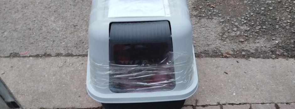 Katze in zugeklebtem Klo vor dem Wormser Tierheim ausgesetzt