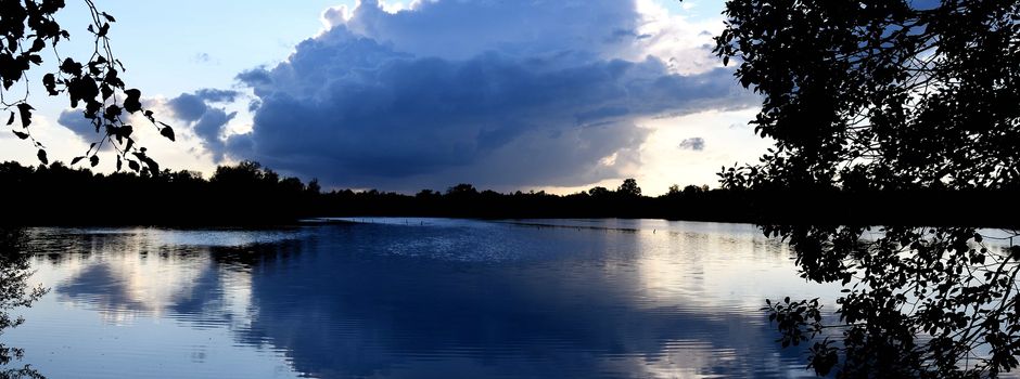Kraniche - und Hohes Moor im Frühherbst