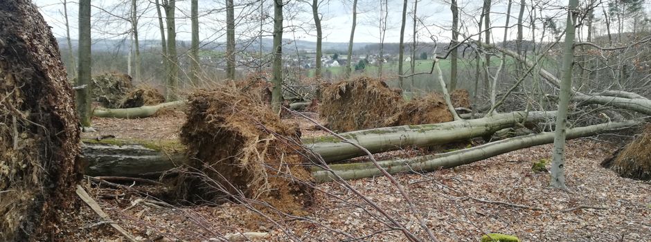 Sturmschäden in der Gemarkung