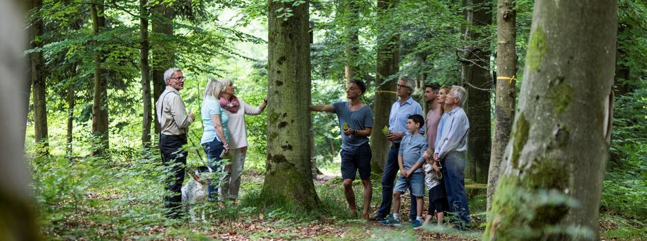 Kostenlose Waldführung