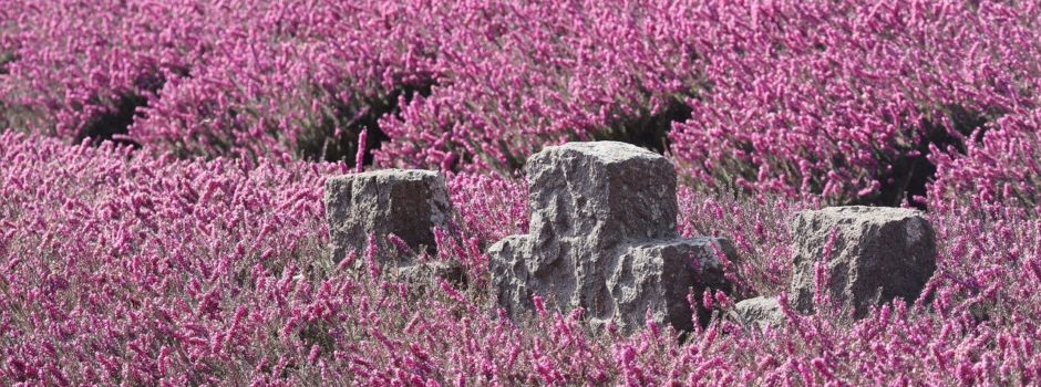 Gedenkfeier zum Volkstrauertag