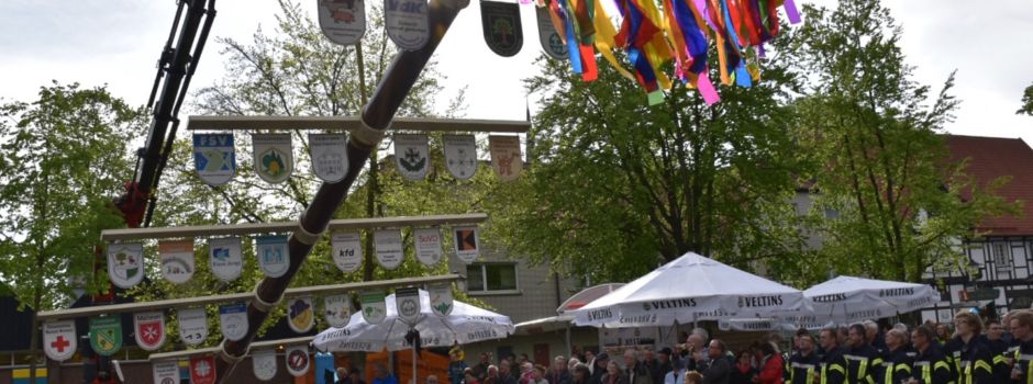 12. Maibaum in Clarholz steht