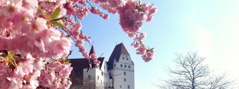 Ausflug nach Ingolstadt – 5 Hallo-Tipps für einen perfekten Trip