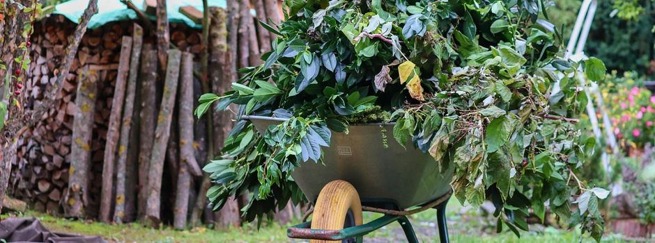 Gartenpflege: Abgeschnittene Äste  bei Schredderaktion kostenfrei abgeben