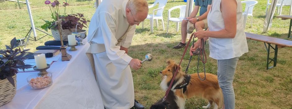 Mainzer Hundebesitzer aufgepasst