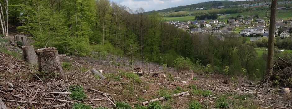 Gemeinderatssitzung am 01.07.2022