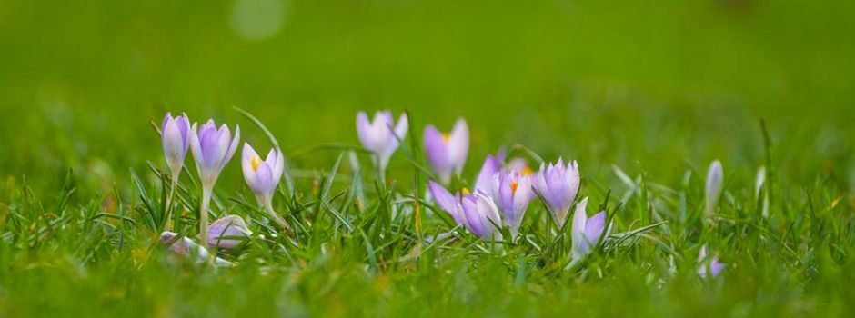 Wetterdienst erwartet milde Tage