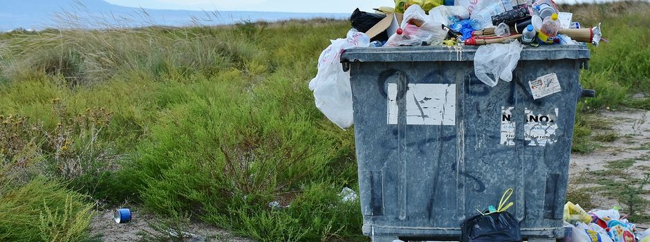 Landkreis und Stadt Stade rufen zum „Cleanup Day“ auf