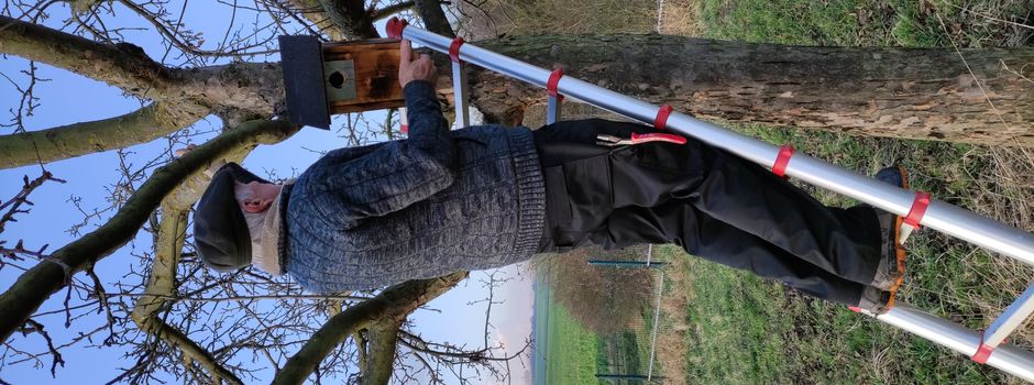 Bürgerverein Niederkassel: Neue Brutstätten für Meisen