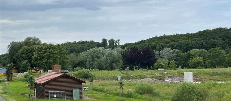 Wiesensee: Spezialmaschinen mähen 460 Tonnen Bäume und Sträucher ab