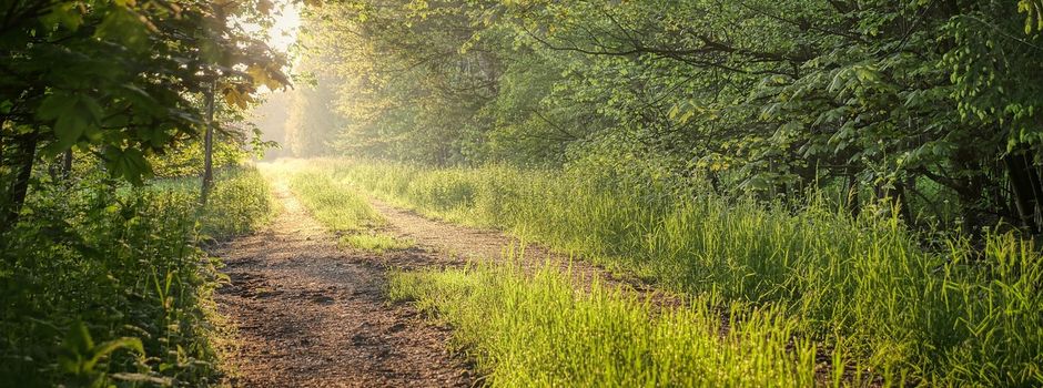 Waldbrandgefahr im Frühjahr: Kreisforstamt gibt Hinweise für Waldbesucher