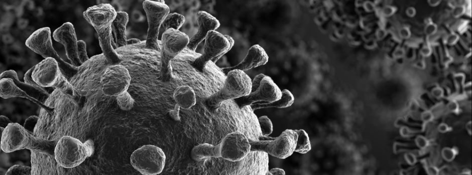 Inzidenz in Mainz bei über 35