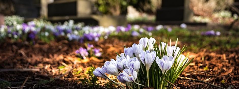 Im Gespräch mit einem Augsburger Bestatter