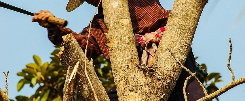 Kurzzeitige Vollsperrung in Dedenbach: Kapellenstraße und Königsseeweg betroffen