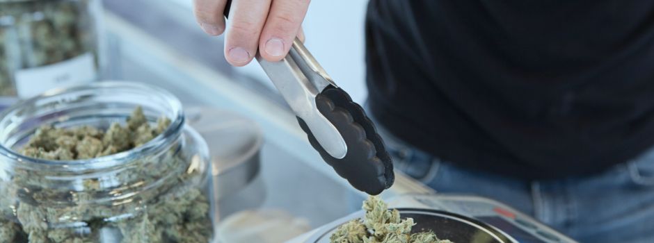 Cannabiskonsum soll legal werden: Doch es sind noch Fragen offen