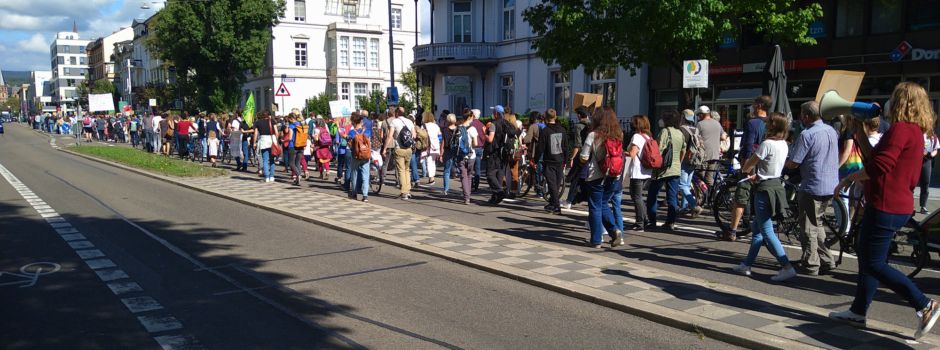 Demo für AfD-Verbot in Wiesbaden angekündigt