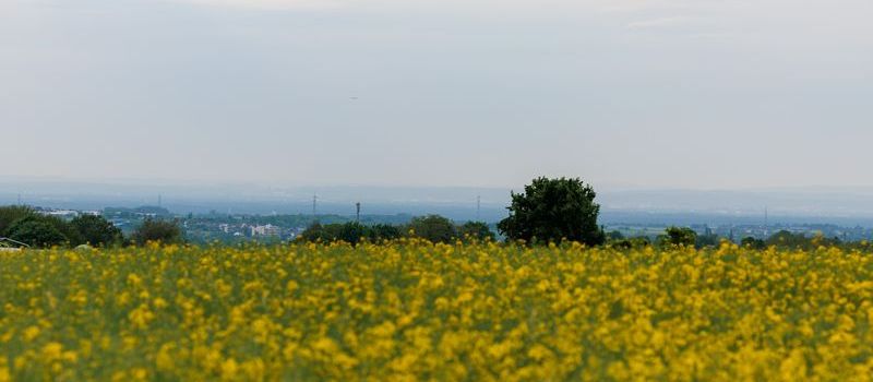 Koblenz: Unwetter möglich und kühlere Temperaturen