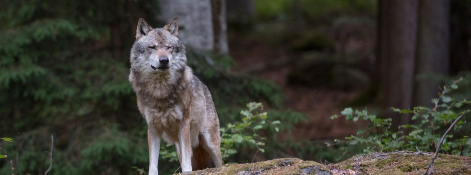 „Mehr rechtliche Klarheit und Handlungsspielraum“