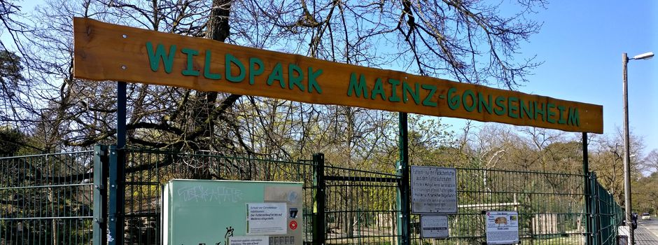 Vogelgrippe: Tierheim Mainz und Wildpark verhängen Aufnahmestopp