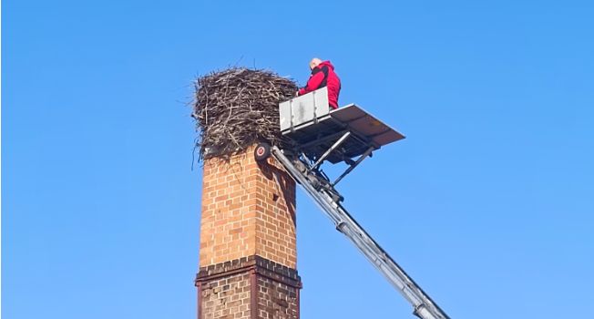 Rückbau des Storchennestes