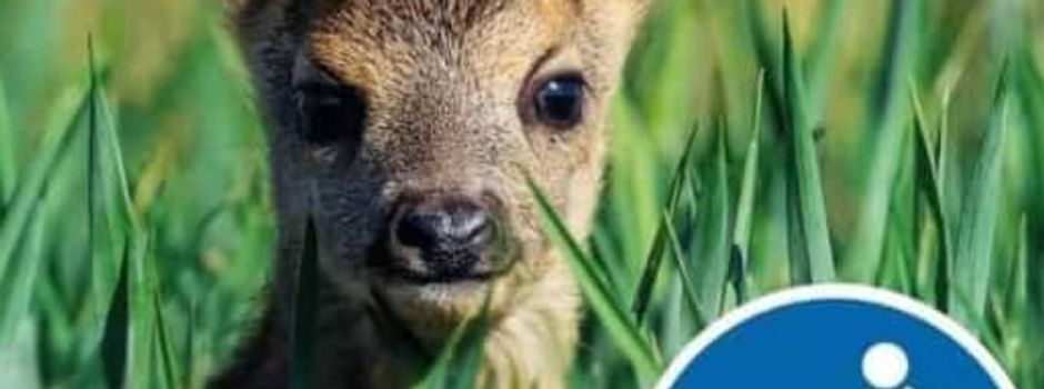 Leinenpflicht für Hunde