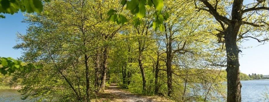 Westerwälder Seenplatte - Diesjähriges Ablassen der Weiher