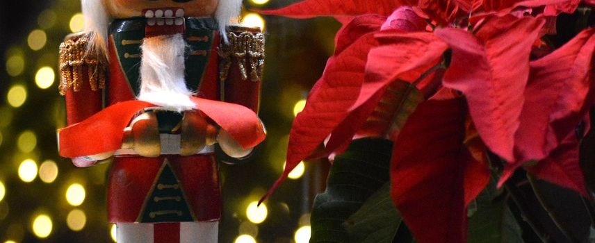 Adventsfensteraktion