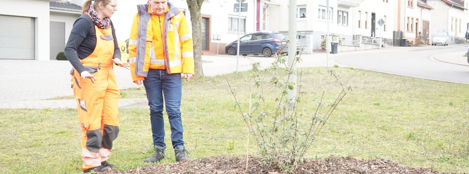 „Rehlingen-Siersburg blüht auf“