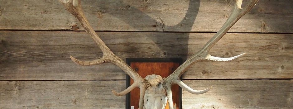 Jagdgenossenschaft Wasserliesch