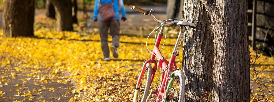 Reinigungspflicht für Gehwege besteht das ganze Jahr