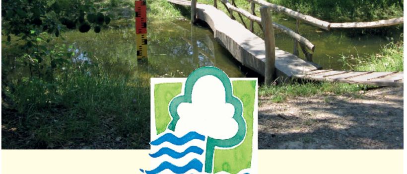 Integriertes Rheinprogramm: Tag der offenen Baustelle 