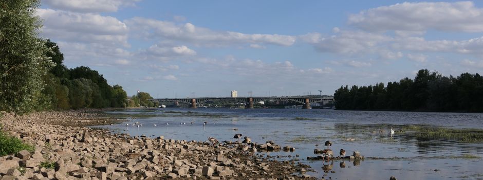 Niedrigwasser im Rhein bei Mainz: So verheerend sind die Folgen