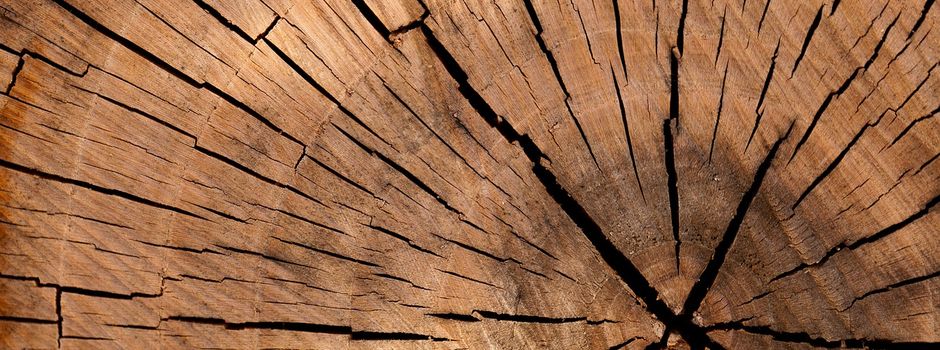 Zuteilung Holzbestellungen 2023