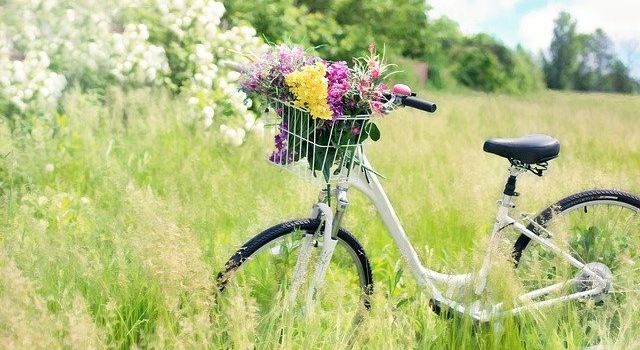 Ferienzeit: Tagesausflüge ab Augsburg für die Sommerferien