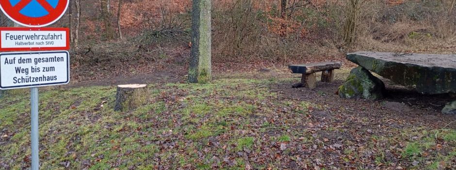 Gefährdende Fichte musste gefällt werden
