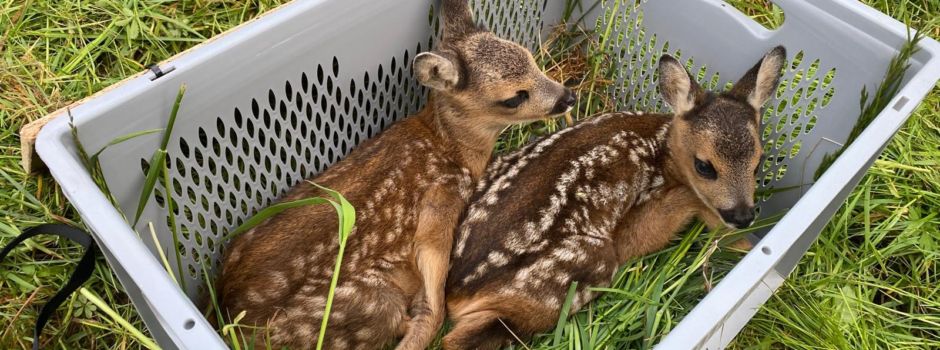 Erfolgreiche Kitzrettung mit neu angeschaffter Drohne im Hegering Siersburg