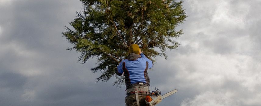Teilstück der Wiesenstraße am 13.12.2025 gesperrt