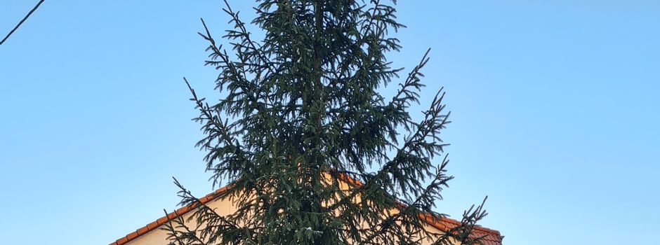 Der Christbaum ist bereit 