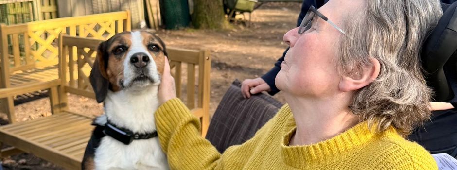 Noch einmal Tiere streicheln