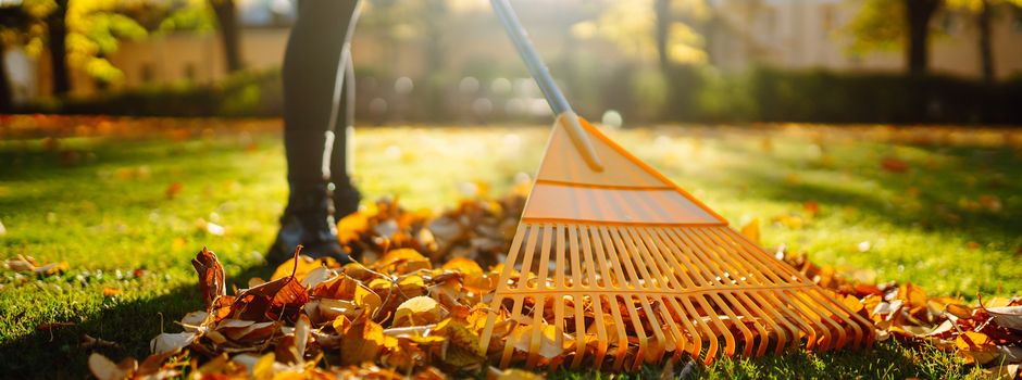 Große Laub-Aktion in Munster